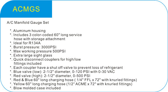 A/C Manifold Gauge Set