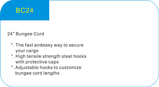  24 Bungee Cord  